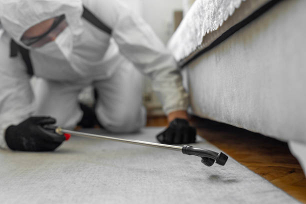 Professional Termite Control technician working in Wesson, MS