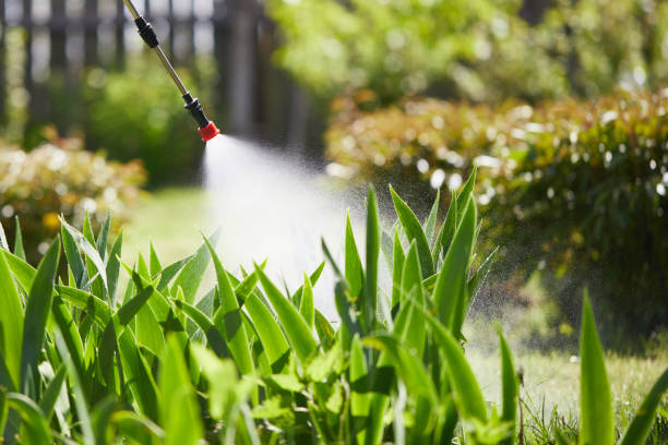 24/7 Emergency Termite Control experts in Wesson, MS
