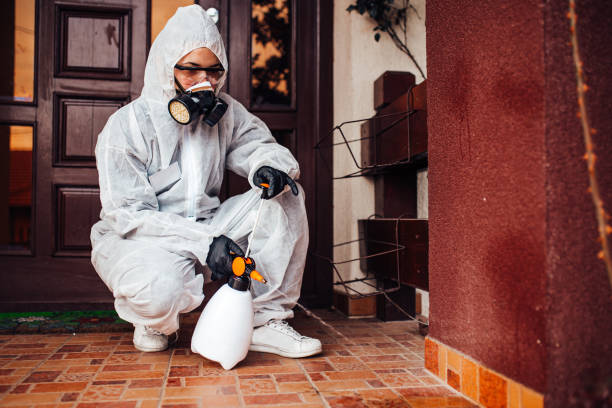 Reliable Termite Control contractor in Wesson, MS by Nex Pest Control