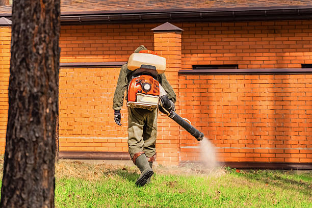 Top rated local Termite Control specialists in Wesson, MS